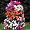 Flower Tower-free Standing X2