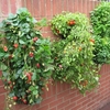Flower Tower Wall Mounted X2