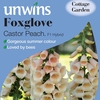 Foxglove Seeds - Castor Peach F1