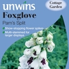 Foxglove Seeds - Pam