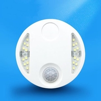 Wireless PIR Motion Light Sensor LED Night Lamp For Home Outdoor Hallway 220V