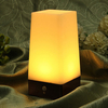 Wireless Retro Motion Sensor LED Night Light Battery Powered Lamp