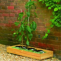 Deluxe Growbag Tray