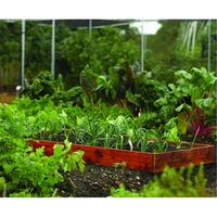 Deluxe Vegetable Box