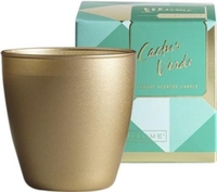 ILLUME Demi Boxed Glass Cactus Verde Candle 139g