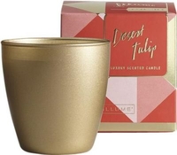 ILLUME Demi Boxed Glass Desert Tulip Candle 139g