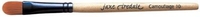 Jane Iredale Camouflage Brush