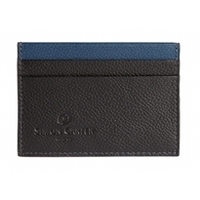 Credit Card Holder Blue Colour Strip