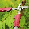 Kent And Stowe - Telescopic Handled Bypass Loppers