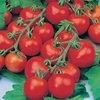 Tomato Unwins Classic Collection - Seeds