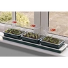 Trio Top Electric Windowsill Propagator
