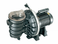 Starite 5P2R Swimming Pool Pump