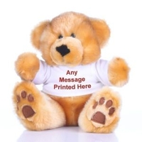 Cuddly Teddy Message Bear