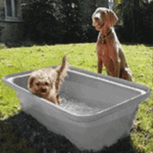 Anti-Slip Dogbath - Small