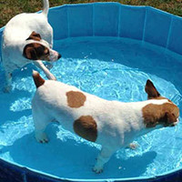 Chill Out Dog Pool - Small