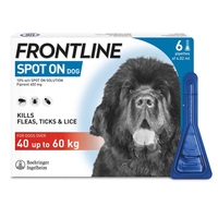 FRONTLINE Spot On Flea & Tick Large Dog - 40-60kg - 4.02ml - 6 Pack