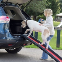 Henry Wag Lightweight Folding Pet Ramp - 90kg Weight Capacity