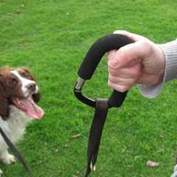 My Dog Clip