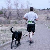 Outward Hound Hands-Free Leash