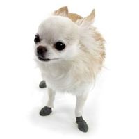 Pawz Dog Boots - XXSmall Black 12 Pack