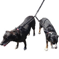 ROK Straps Reflective Dog Coupler Small