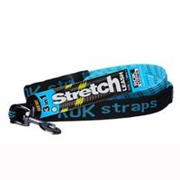 Rok Straps Stretch Dog Leash Large Dogs over 30kg
