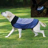 Rosewood Night Bright LED Dog Jacket 21in
