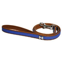 Rosewood Wag N Walk Royal Dog Lead 40 x 3/4in