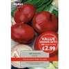 Spring Bulbs - Onion Value Karmen - Value Pack