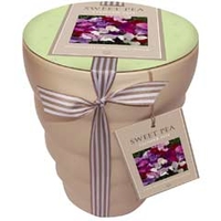 Spring Seeds - Sweetpea Sweetheart Mixed Flowering Gift Pot