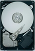 SEAGATE HDD 250GB SATA 3.5" ST3250318AS