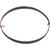 DeWalt Bandsaw Blade -12mm General Purpose