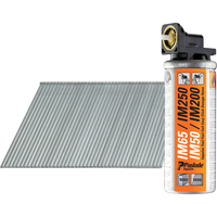 Paslode F16 x 32mm Stainless Steel Angled Brad Nails Pack of 2000 for IM65A & IM250A Nail Guns