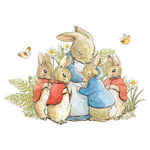 Beatrix Potter Greetings Card