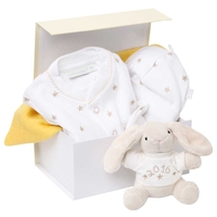 Newborn Star Gift Set