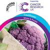 Cauliflower Seeds - All The Year Round & Di Scilia Violetta