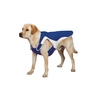 Stay Cool Dog Coat