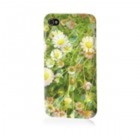 After the Rain iPhone Case