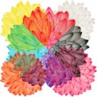 Blooming Flowers Print Silk Scarf