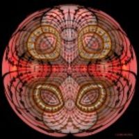 Rose Magique Silk Scarf