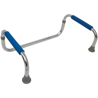 Assist Rail