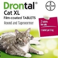 Drontal Cat XL Tablets 2s