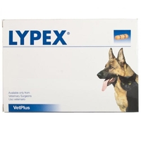Lypex Capsules 60s