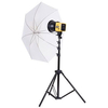 Interfit Honey Badger Single Head Umbrella Kit