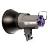 Interfit INT480 EX300 Single Flash Head - 300w