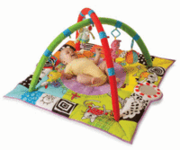 Taf Toys Newborn Gym