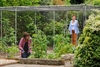 Premium Aluminium Walk-In Fruit Cage with Butterfly Netting