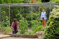 Premium Aluminium Walk-In Fruit Cage with Butterfly Netting