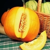 Pumpkins Jack O