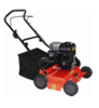 DORI 38T 2.4HP Kippor Petrol Scarifier